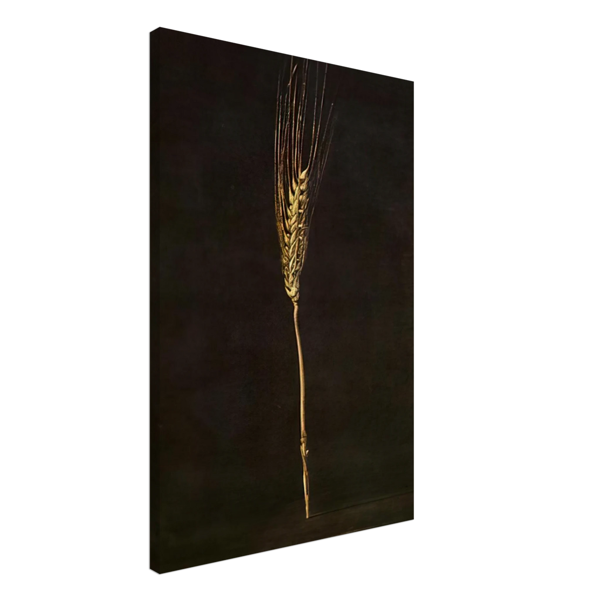 WHEAT EAR Canvas | Salvador Dali Canvas | Salvador Dali Store