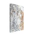 2ca9528a-6d35-4e1a-8280-bcaa9a452ab4