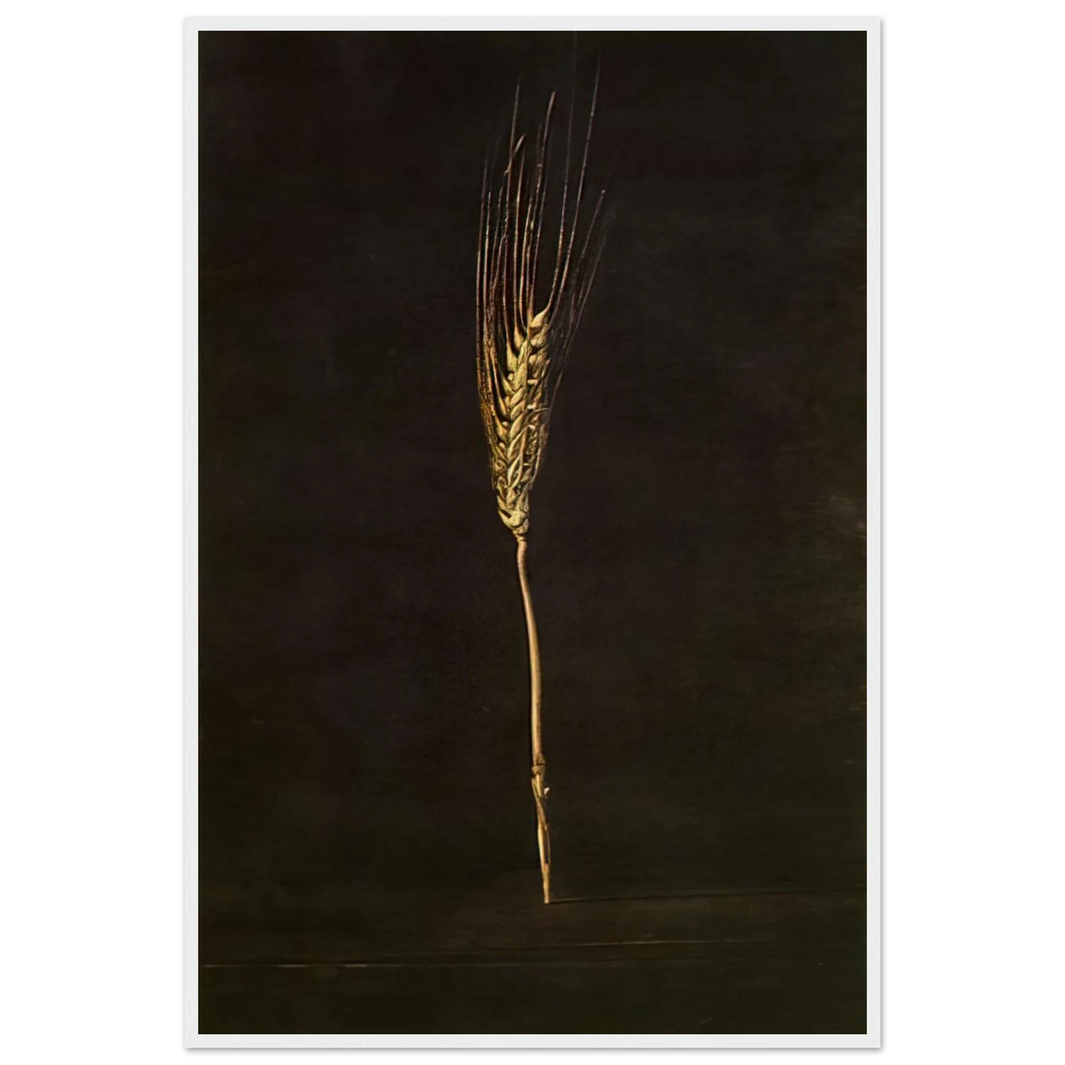 WHEAT EAR Framed Poster | Salvador Dali Framed Prints Wall Art | Salvador Dali Store