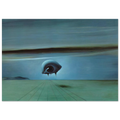 THE EYE Poster | Salvador Dali Poster | Salvador Dali Store