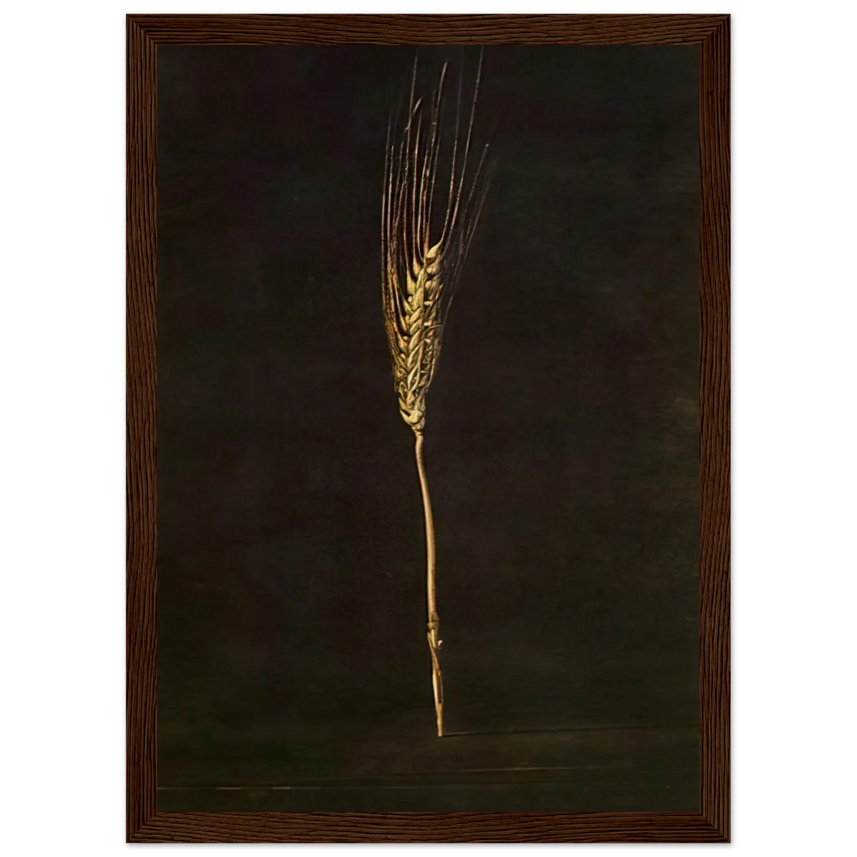 WHEAT EAR Framed Poster | Salvador Dali Framed Prints Wall Art | Salvador Dali Store