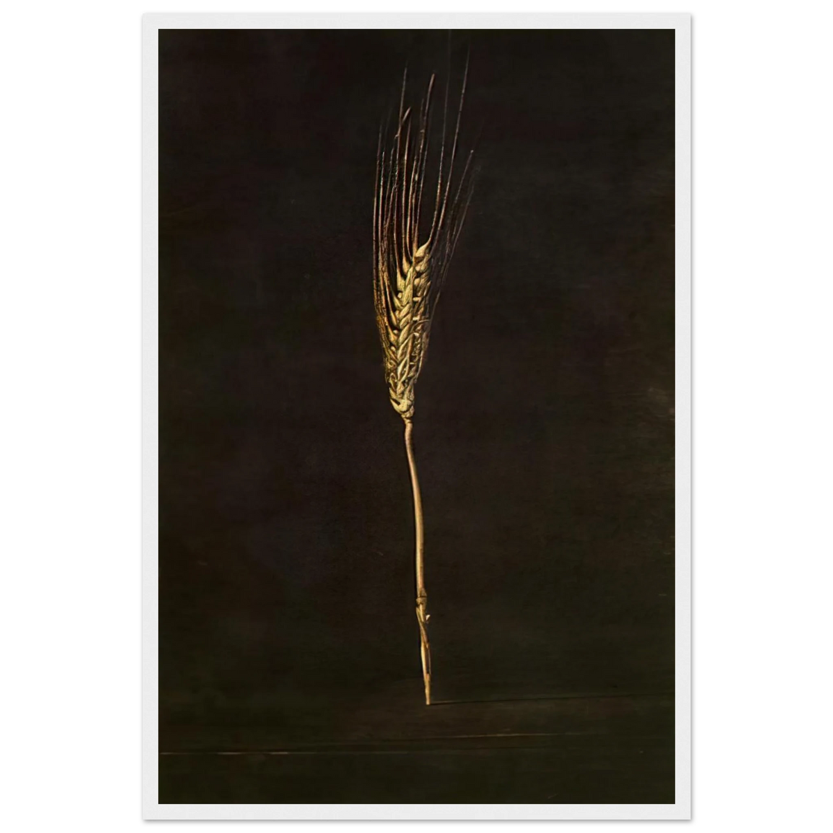 WHEAT EAR Framed Poster | Salvador Dali Framed Prints Wall Art | Salvador Dali Store