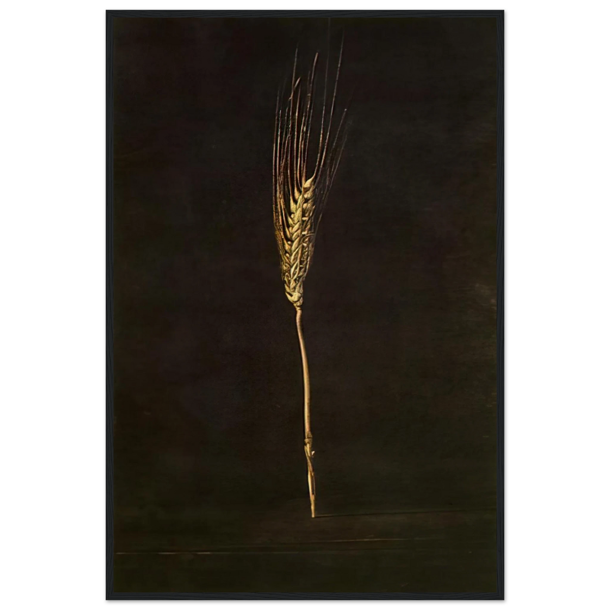 WHEAT EAR Framed Poster | Salvador Dali Framed Prints Wall Art | Salvador Dali Store