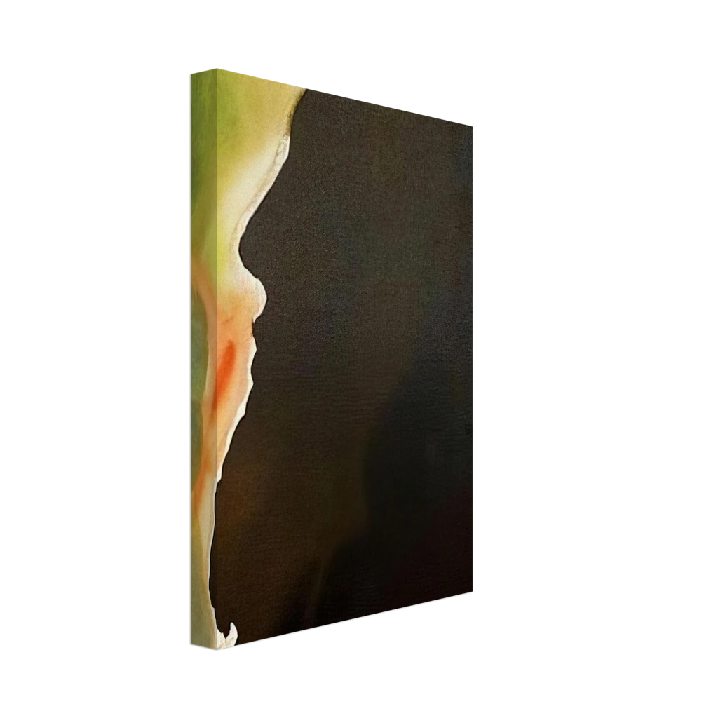 ABRAHAM PATER MULTAREM GENTIUM GENESIS 12 1F 1967 Canvas | Salvador Dali Canvas | Salvador Dali Store