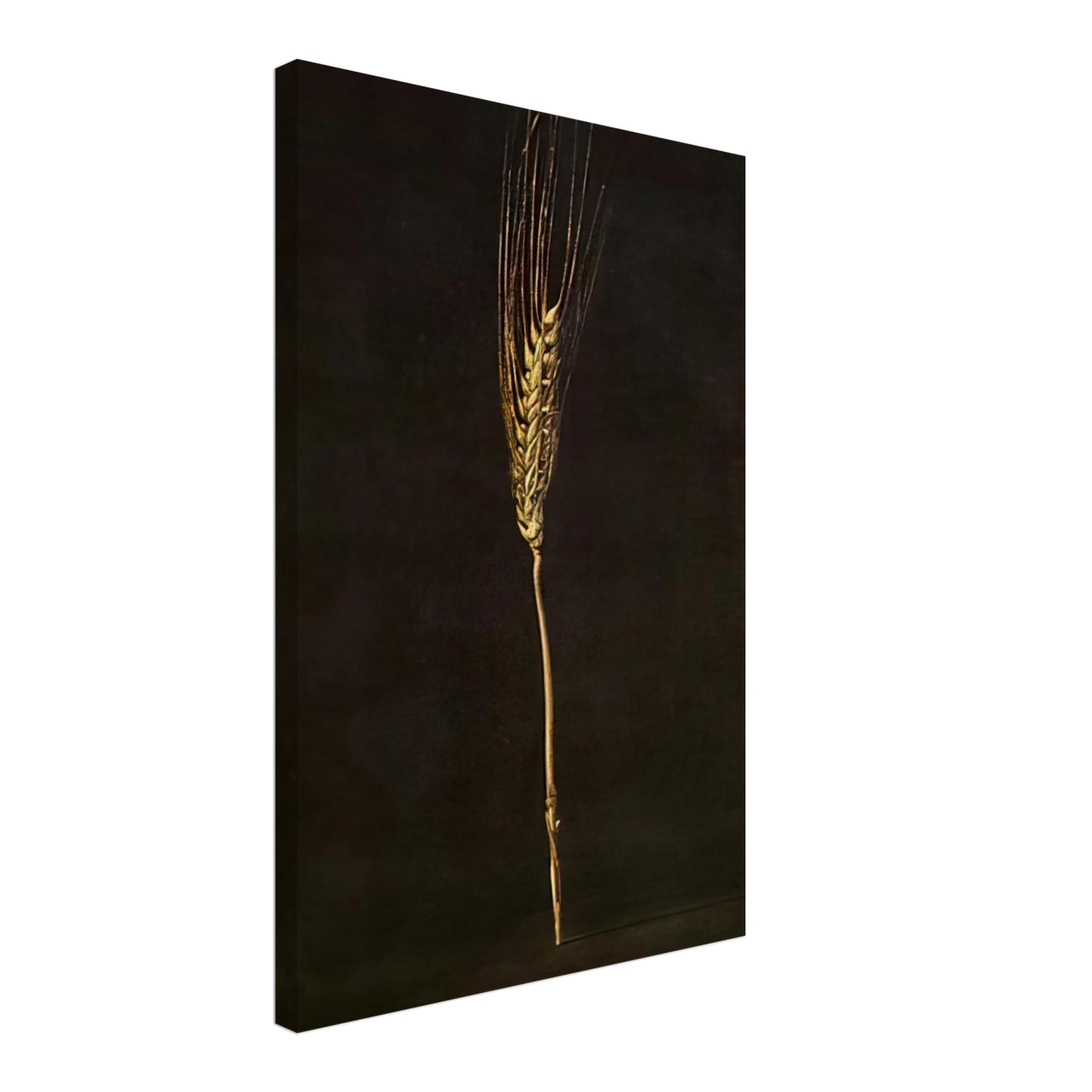 WHEAT EAR Canvas | Salvador Dali Canvas | Salvador Dali Store