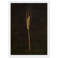 WHEAT EAR Framed Poster | Salvador Dali Framed Prints Wall Art | Salvador Dali Store
