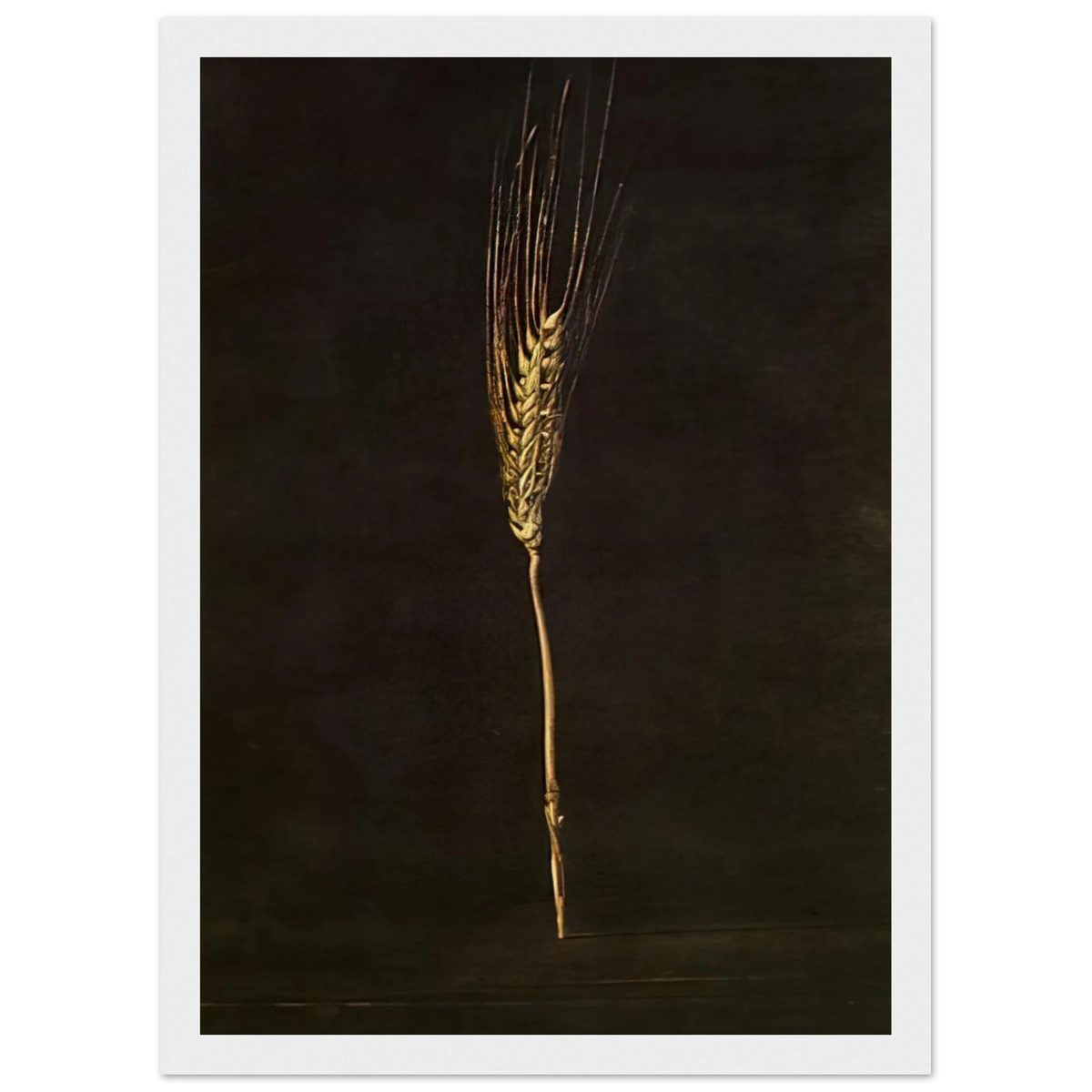WHEAT EAR Framed Poster | Salvador Dali Framed Prints Wall Art | Salvador Dali Store