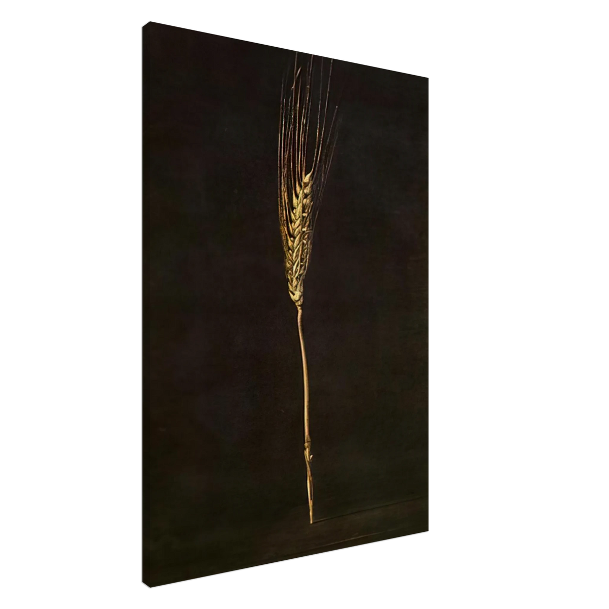 WHEAT EAR Canvas | Salvador Dali Canvas | Salvador Dali Store