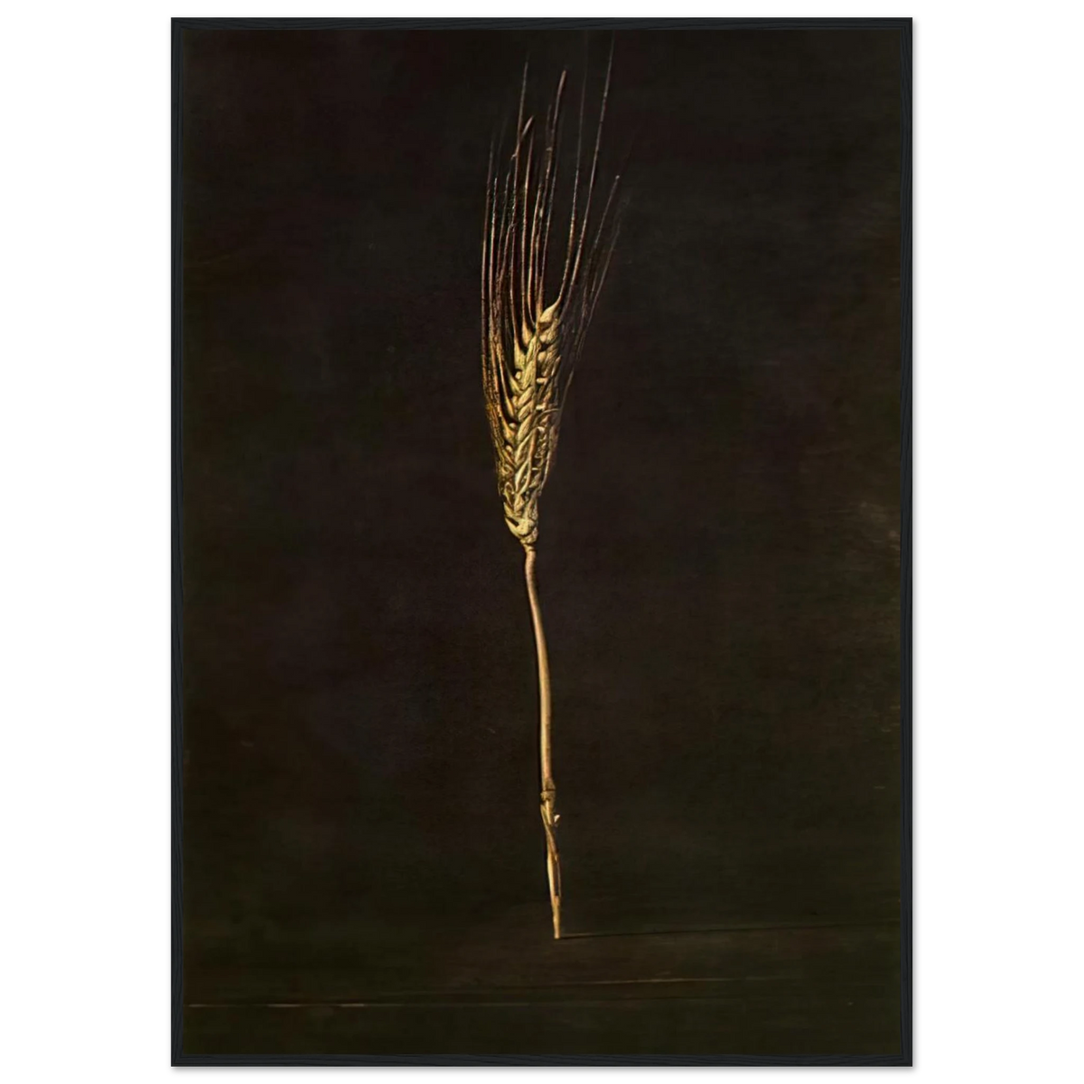 WHEAT EAR Framed Poster | Salvador Dali Framed Prints Wall Art | Salvador Dali Store