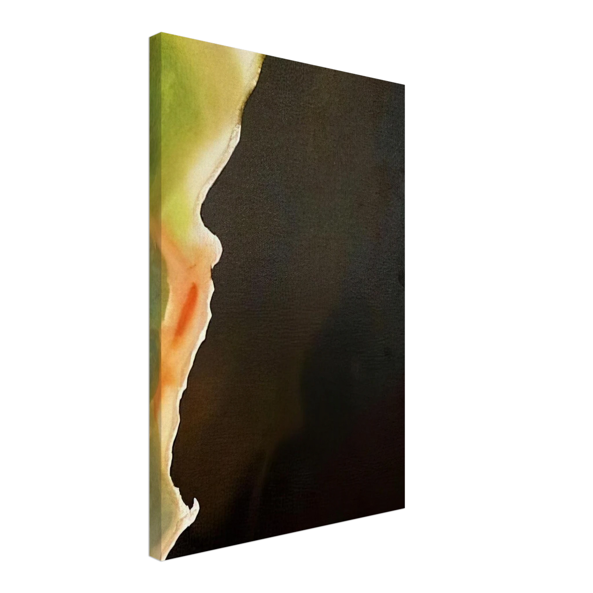 ABRAHAM PATER MULTAREM GENTIUM GENESIS 12 1F 1967 Canvas | Salvador Dali Canvas | Salvador Dali Store