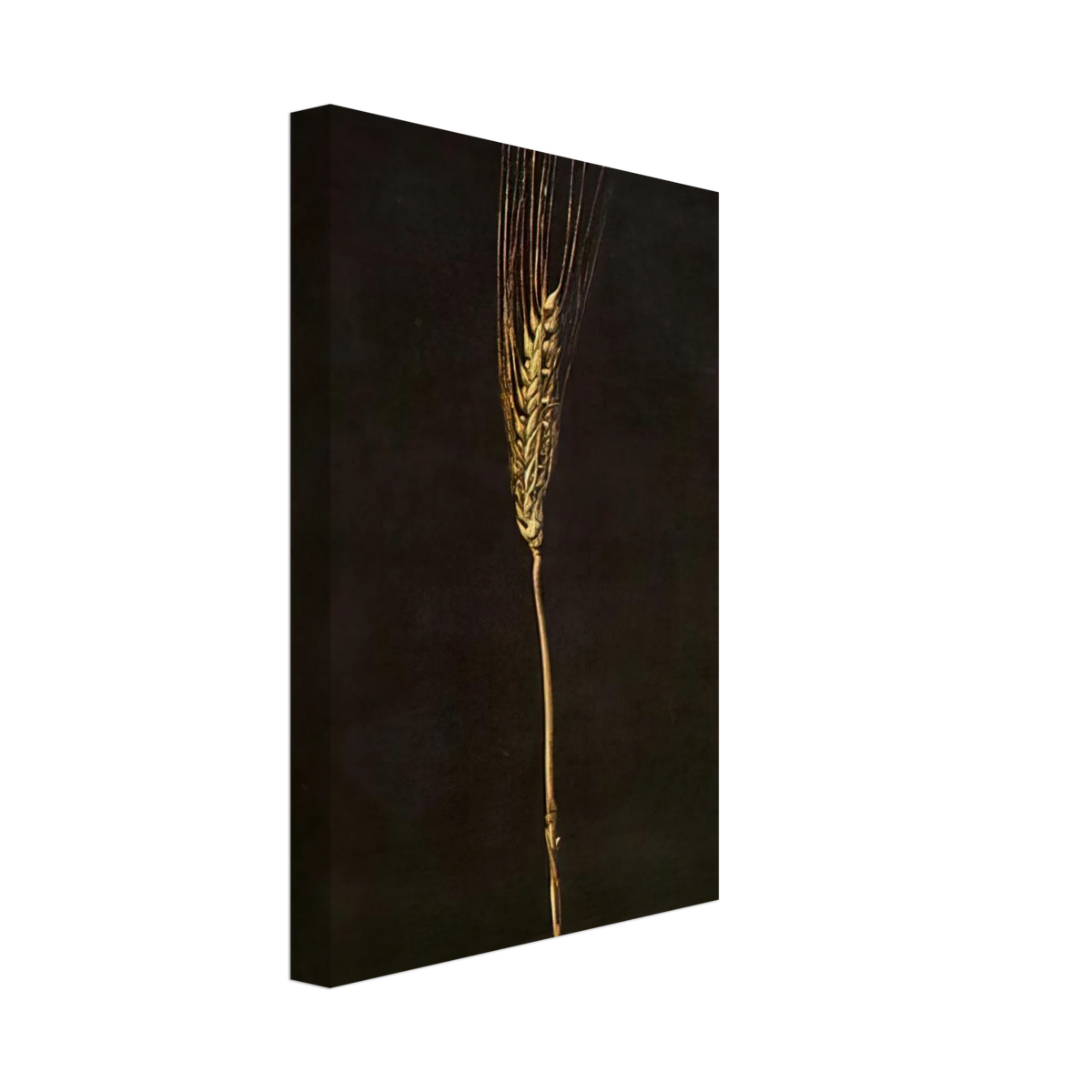 WHEAT EAR Canvas | Salvador Dali Canvas | Salvador Dali Store