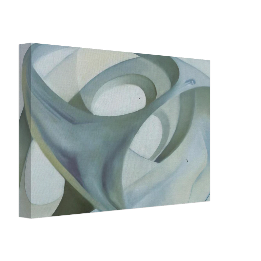 TOPOLOGICAL CONTORTION OF A FEMALE FIGURE Canvas | Salvador Dali Canvas | Salvador Dali Store