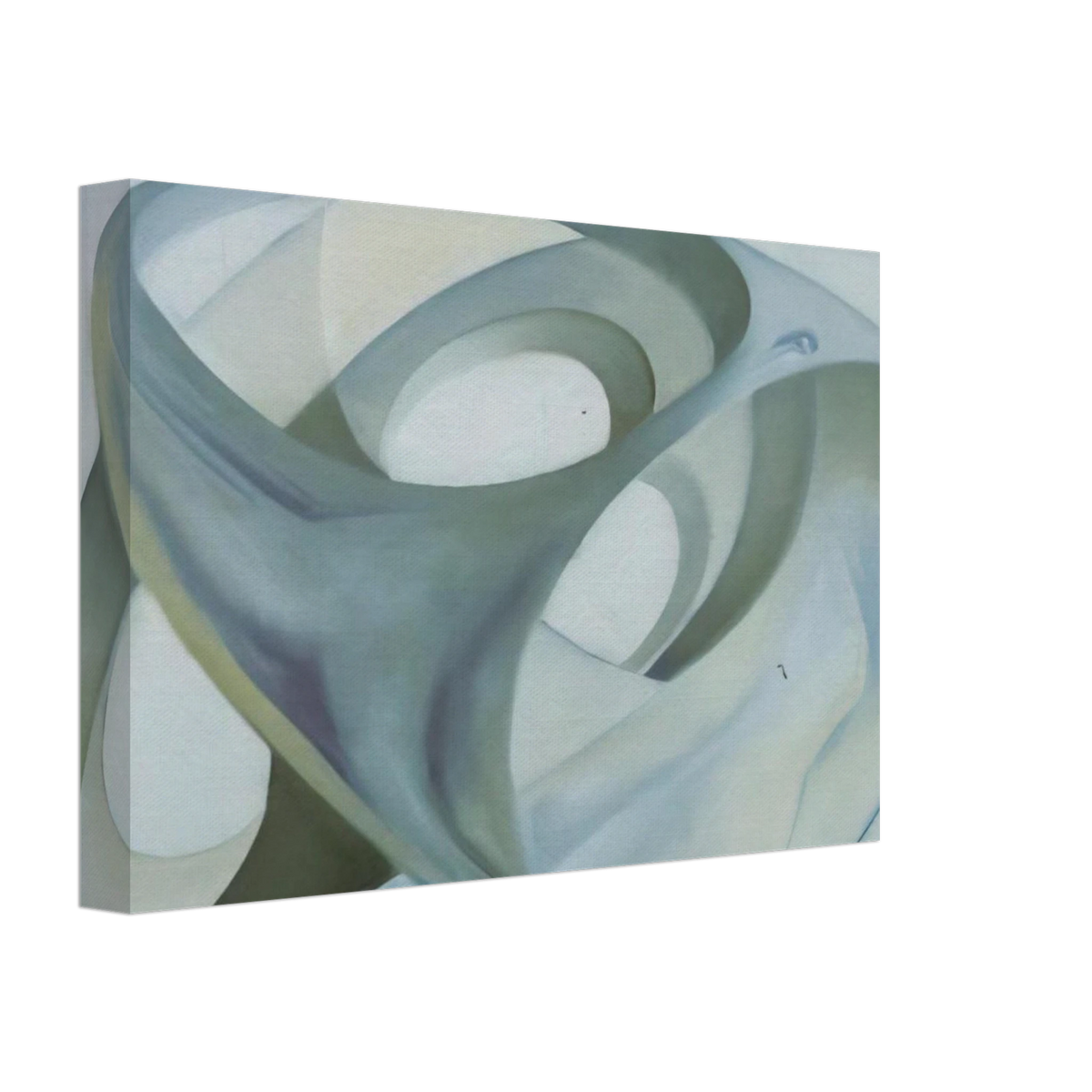 TOPOLOGICAL CONTORTION OF A FEMALE FIGURE Canvas | Salvador Dali Canvas | Salvador Dali Store